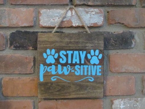 Stay Paw-Sitive