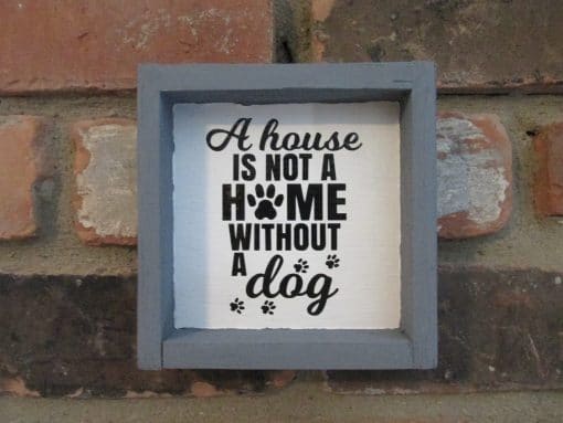 A House is Not a Home Without a Dog