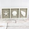 Sea Life Triple 8" x 18" Wood Framed Canvas Wall Decor