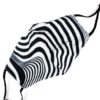 Zebra Black and White Two-Layer Fashion Face Mask With Filter Pocket