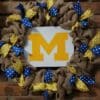 University of Michigan Wolverines Maize 16" Burlap Wreath Door Decor